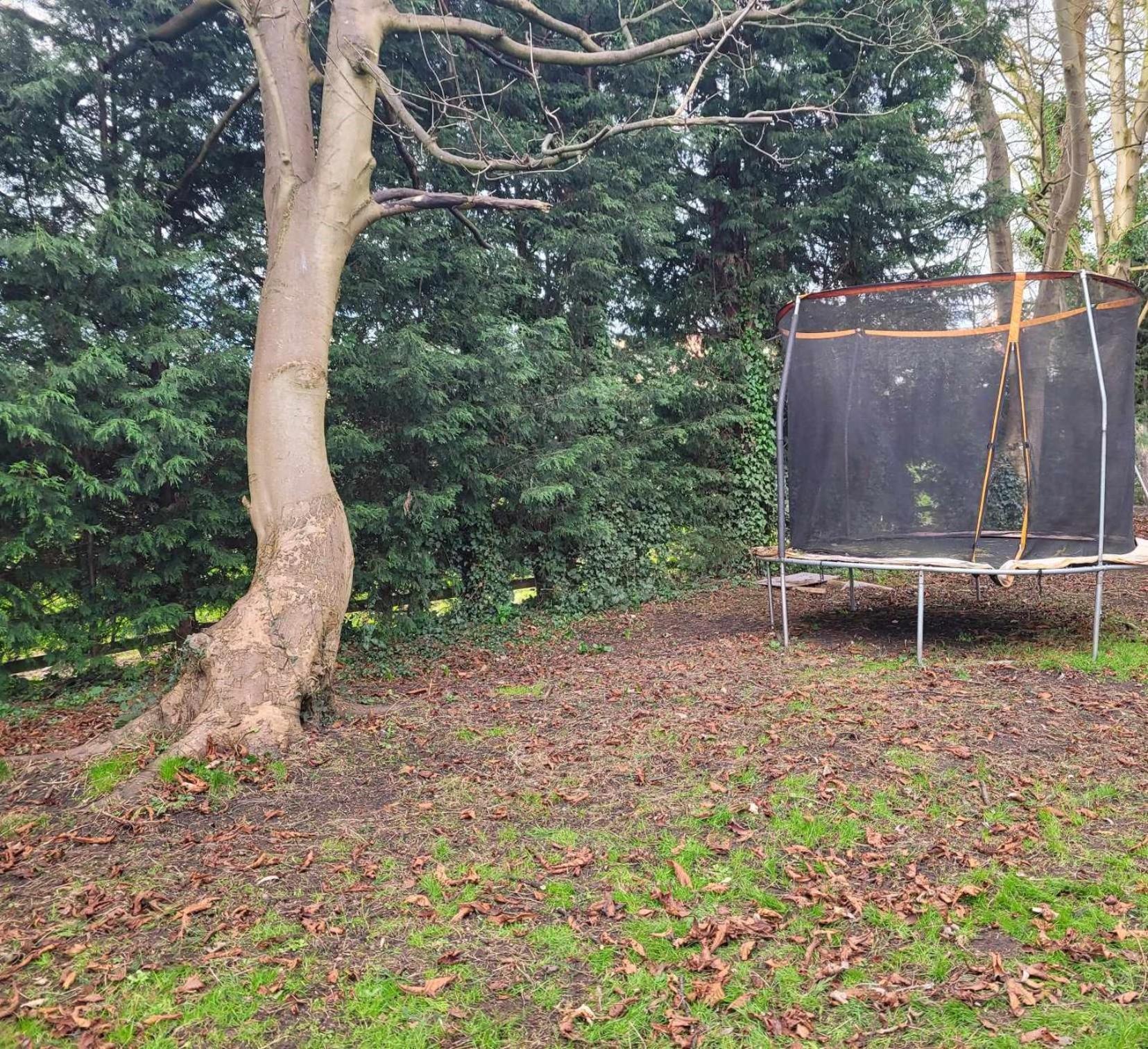 17Th-Century One Bed Studio With Parking & Garden! Elkesley 外观 照片